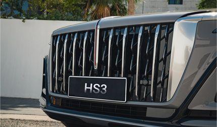 HS3